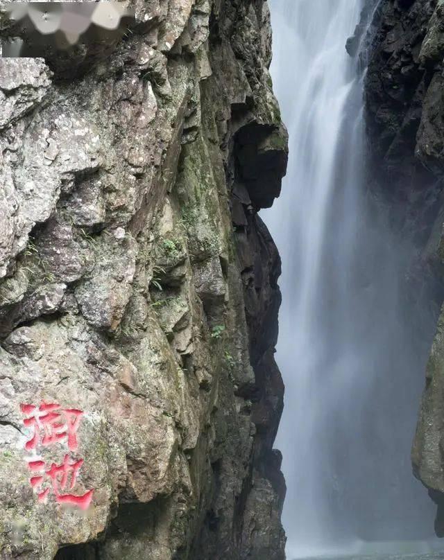 为何很多人都说刘青云的《神探大战》超好看？有哪些槽点呢？